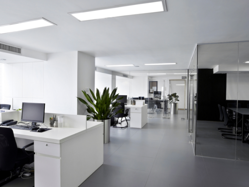 5 Things You Can Expect from a Professional Cleaning Company